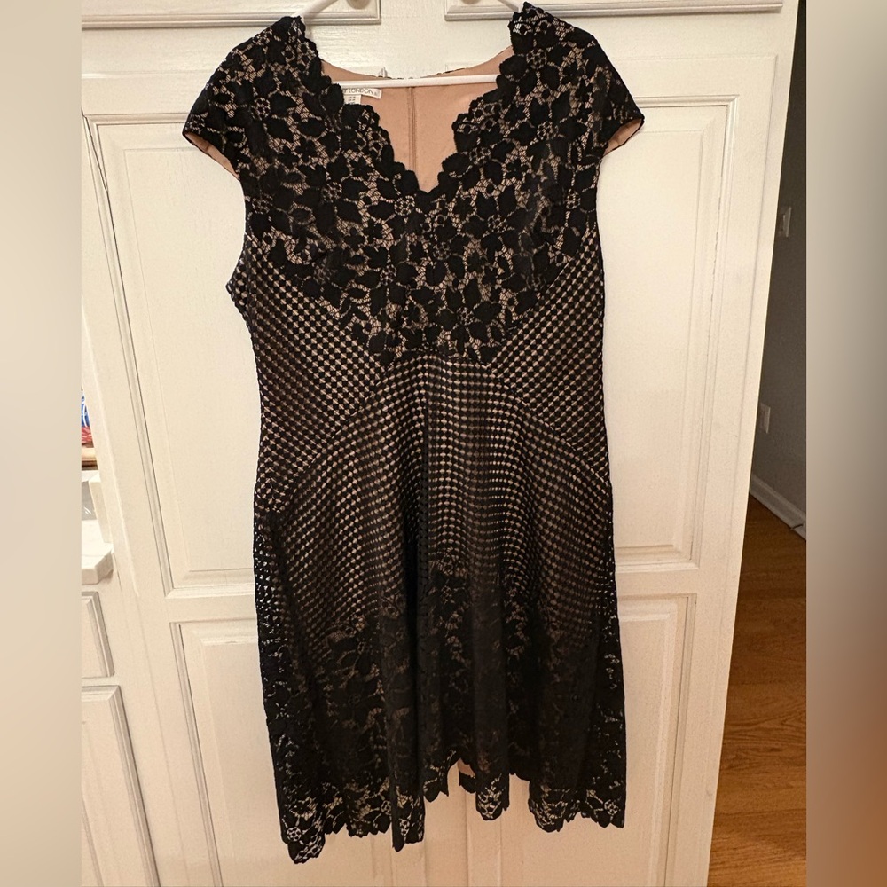 Maggy London Black and Beige Lace Midi Dress